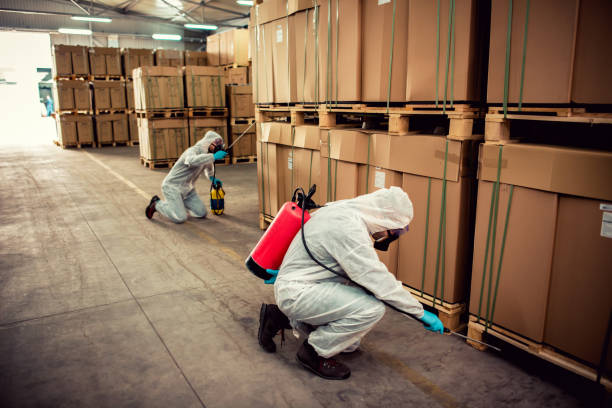 Professional Pest Control in Navarre Beach, FL