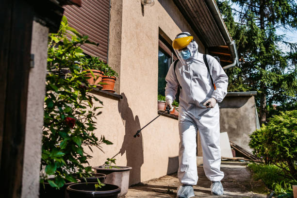 Wasp Removal Services in Navarre Beach, FL