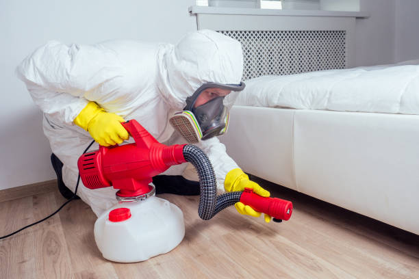 Best Pest Prevention Services  in Navarre Beach, FL