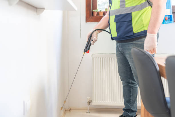 Best Flea Control Services  in Navarre Beach, FL