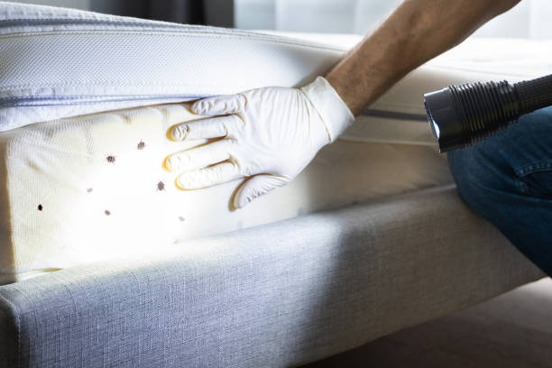Best Pest Inspection Near Me  in Navarre Beach, FL