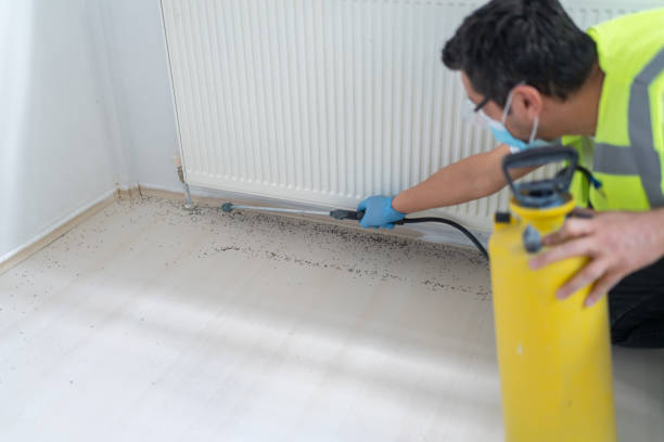 Best Emergency Pest Control  in Navarre Beach, FL