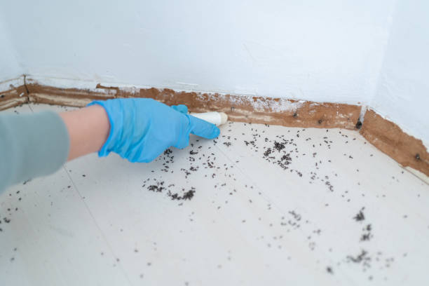 Best Residential Pest Control  in Navarre Beach, FL